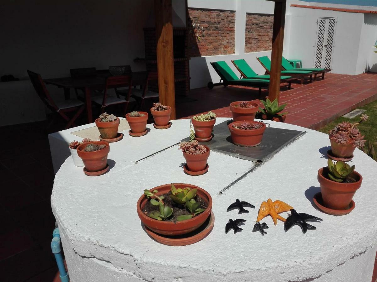 Vila Casa Vitorino'S Vale de Maceira Exteriér fotografie